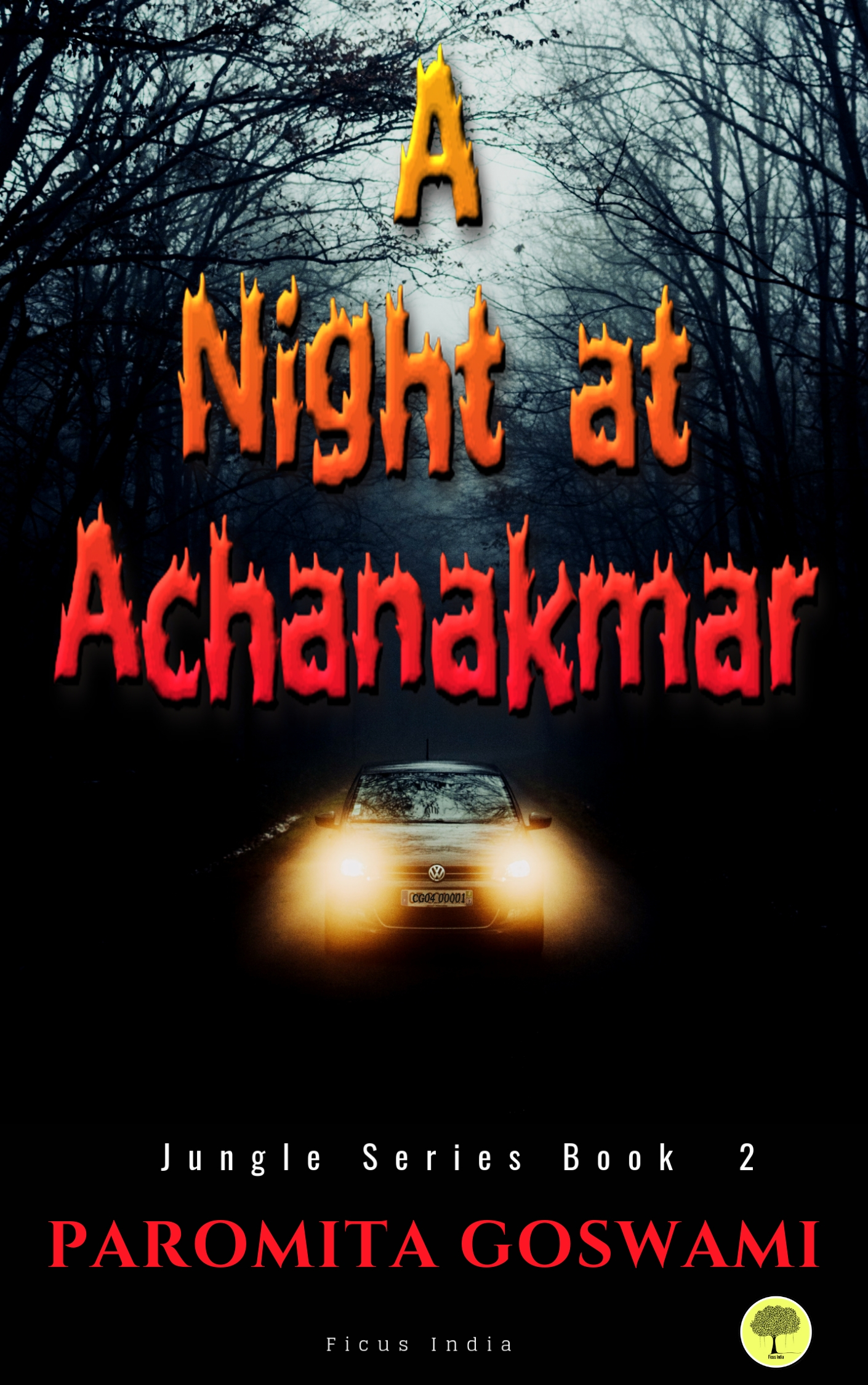 A Night at Achanakmar