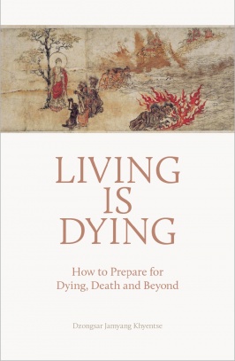Living is Dying: How to Prepare for Dying, Death and Beyond