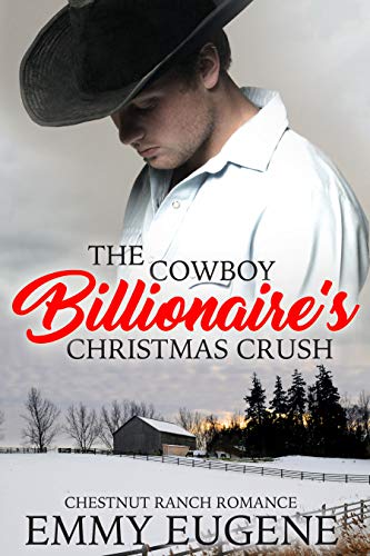 Cowboys Never Get A Second Chance book cover