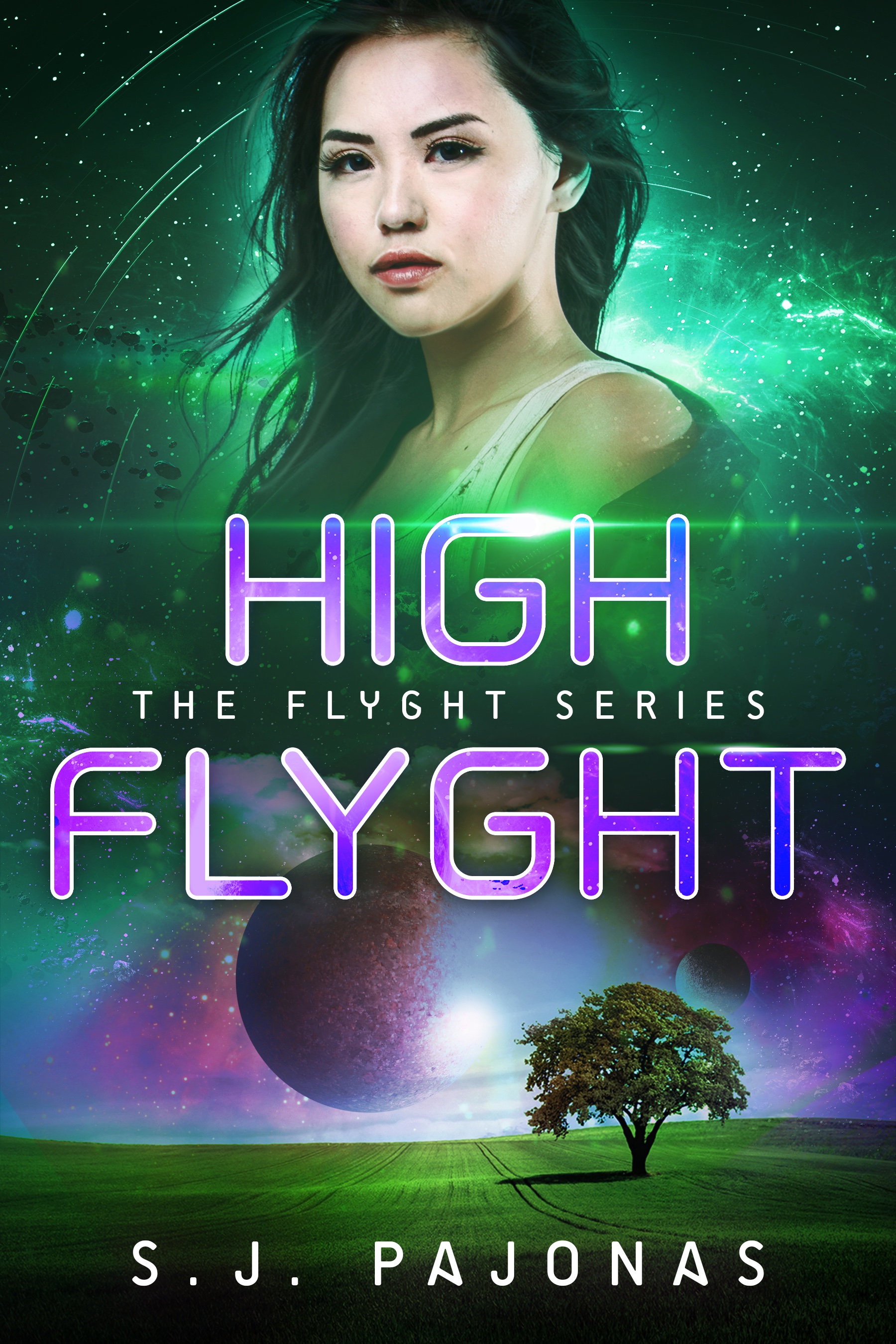 Flyght book cover 3