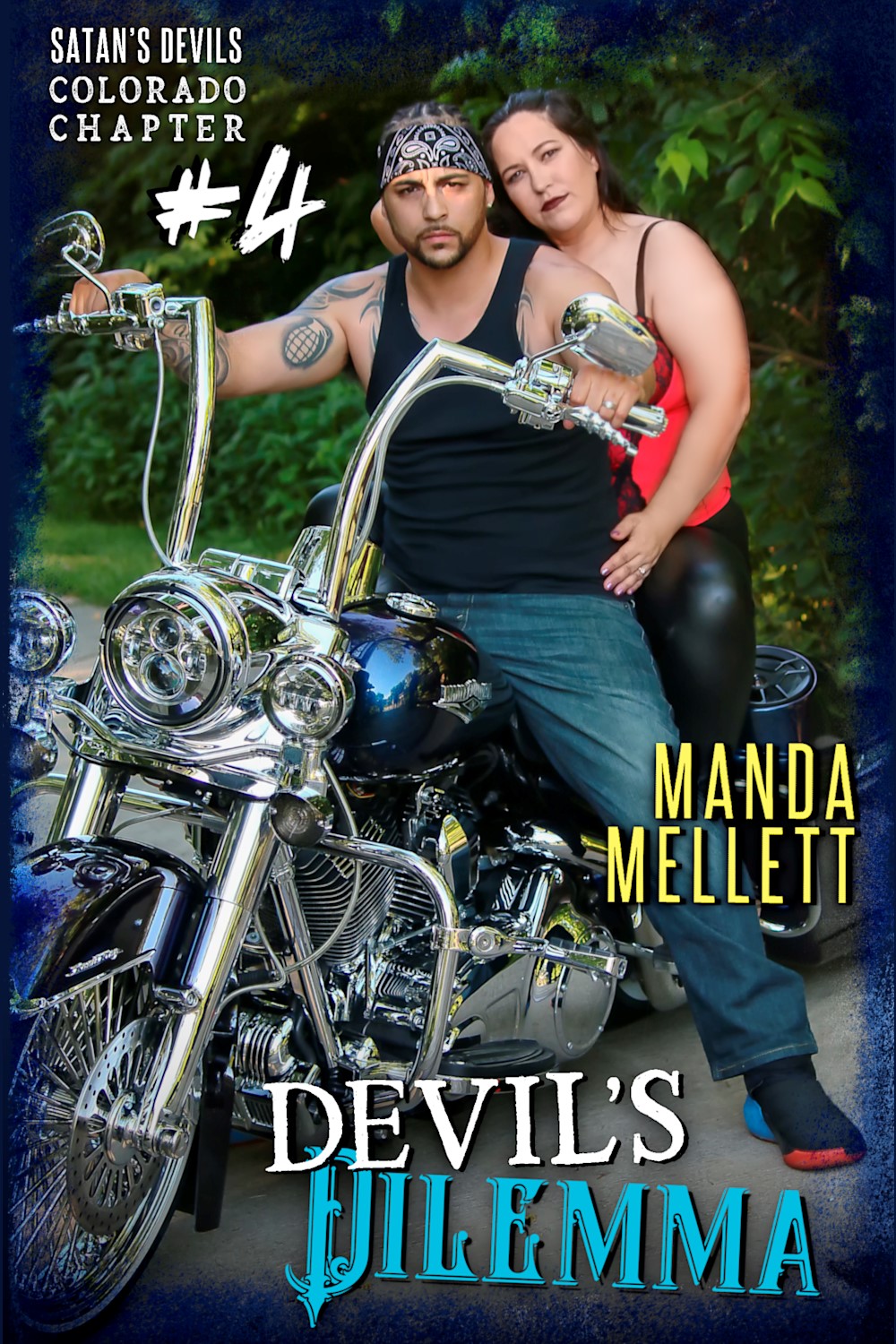 Devil's Dilemma book cover
