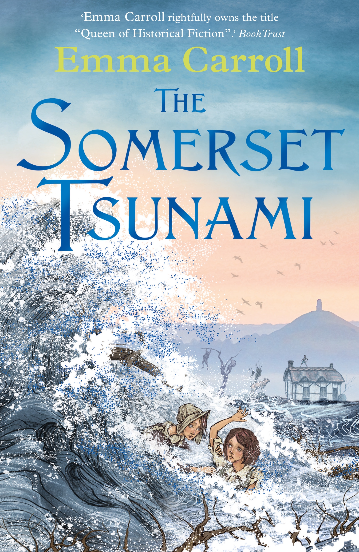The Somerset Tsunami book cover