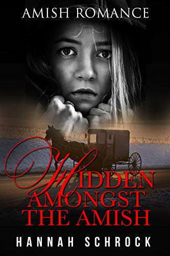 Hidden Amongst The Amish book cover