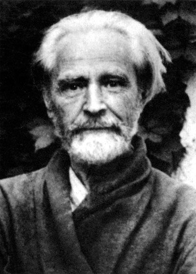 În mijlocul lupilor book cover