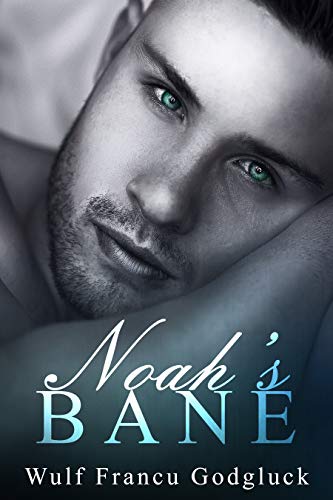 Noah's Bane book cover