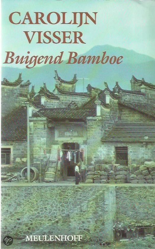 Buigend bamboe book cover