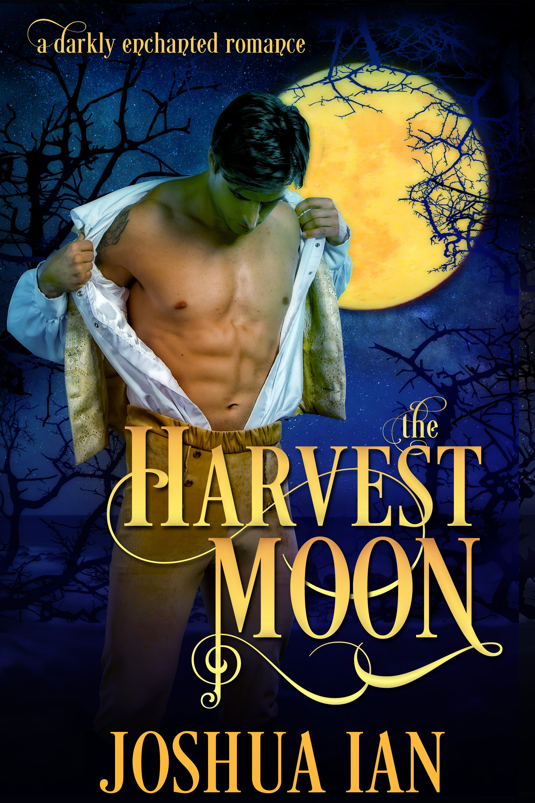 Darkly Enchanted Romance book cover 1