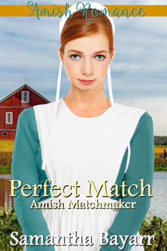 A Perfect Match book cover