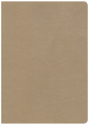 CSB She Reads Truth Bible, Champagne Gold LeatherTouch, Black Letter, Full-Color Design, Wide Margins, Journaling Space, Devotionals, Reading Plans, Single-Column, Easy-to-Read Bible Serif Type