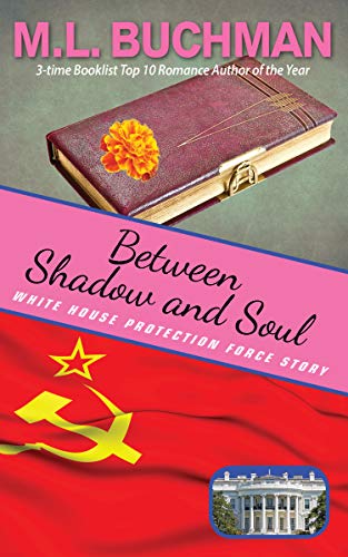 Between Shadow and Soul book cover