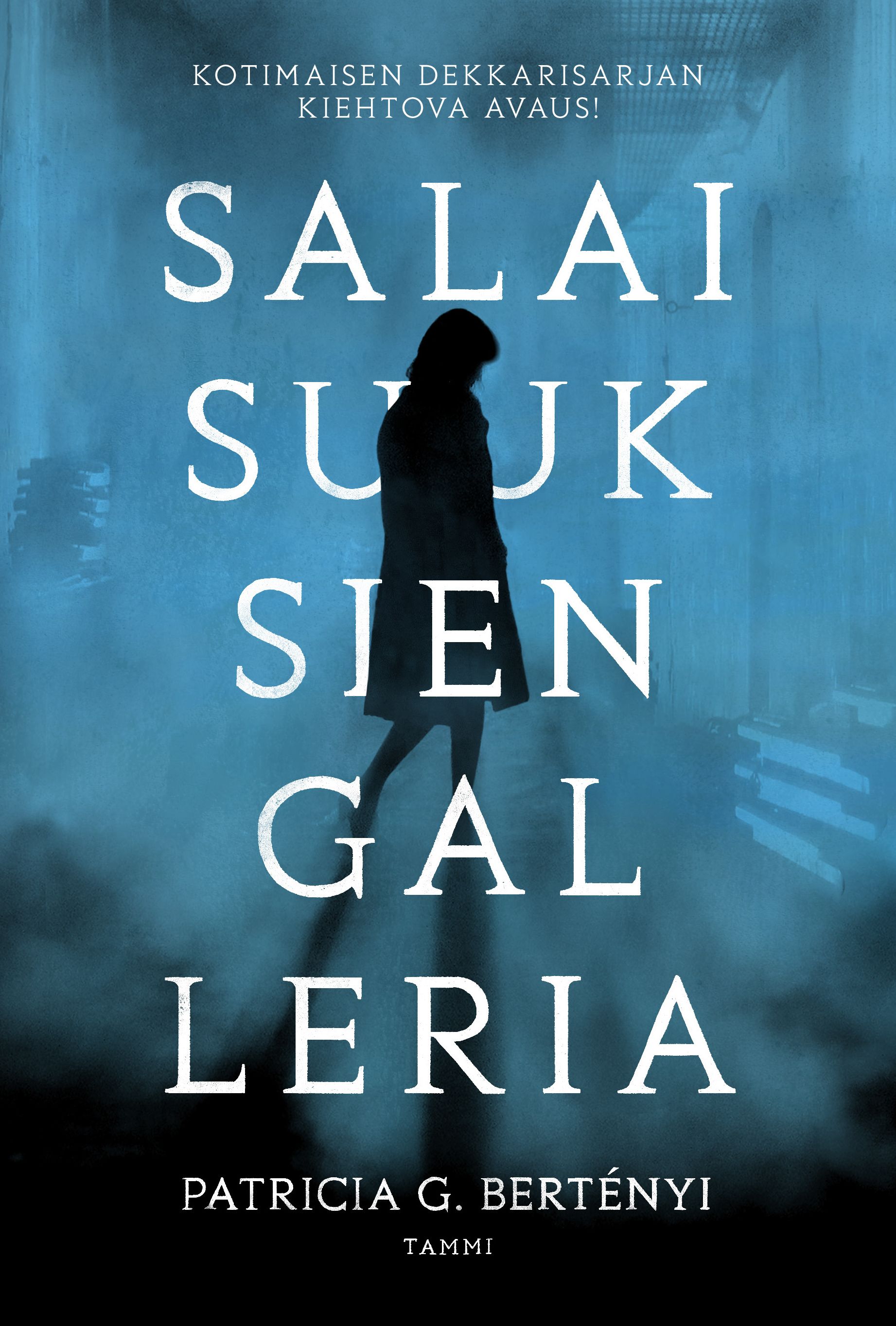 Salaisuuksien galleria book cover
