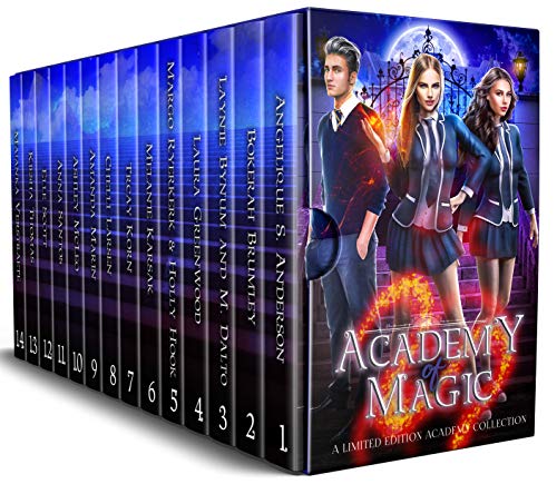 Academy of Magic book cover