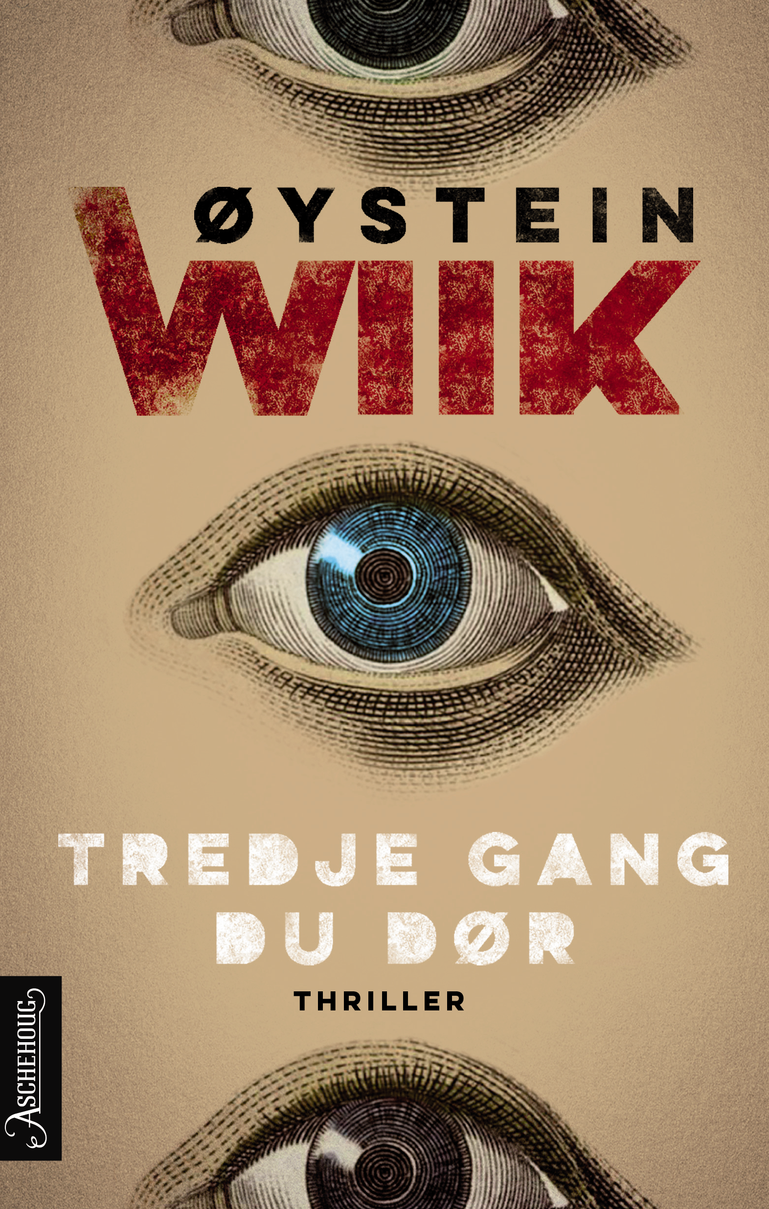 Tredje gang du dør book cover