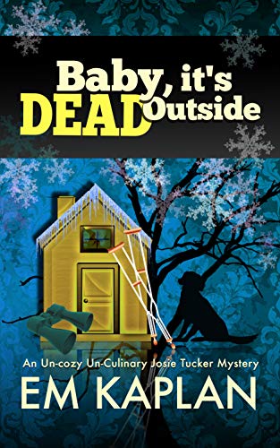 Baby, It's Dead Outside book cover
