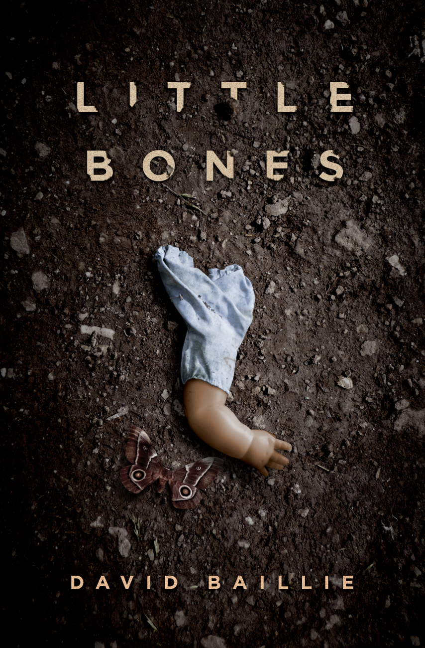 Little Bones book cover