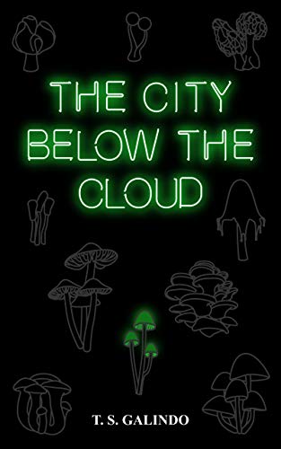 The City Below the Cloud