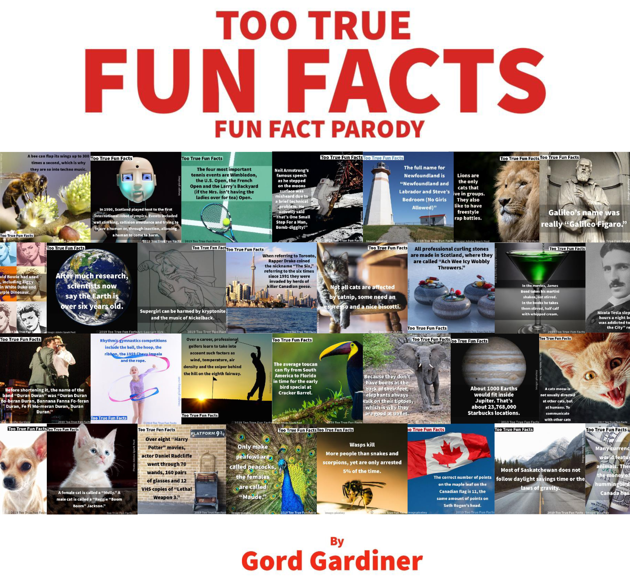Too True Fun Facts: Fun Fact Parody by Gord Gardiner | Goodreads