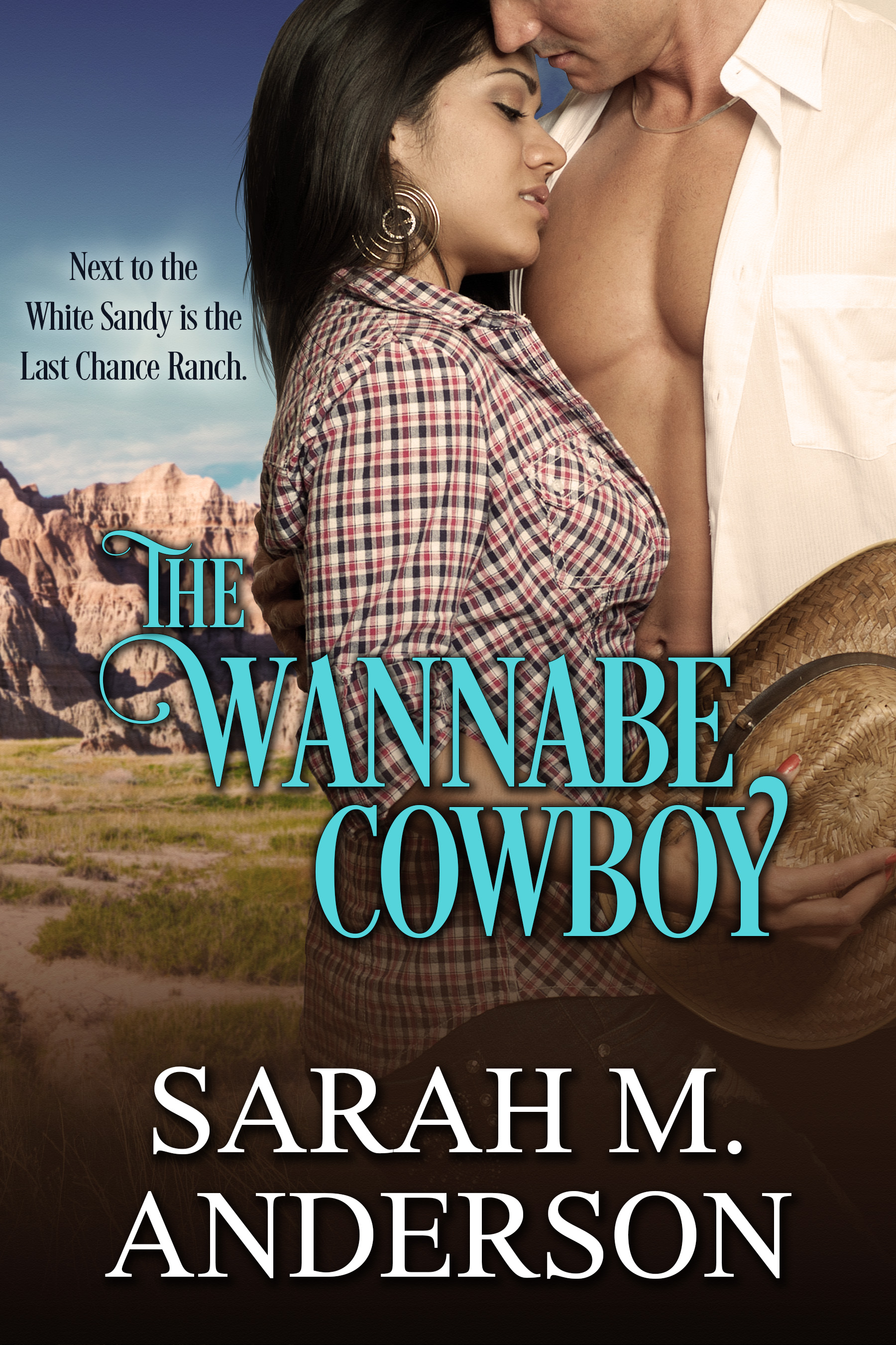 The Wannabe Cowboy book cover