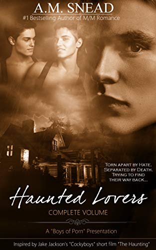 Haunted Lovers book cover
