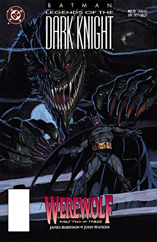Batman book cover