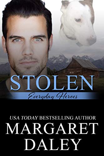 Stolen book cover