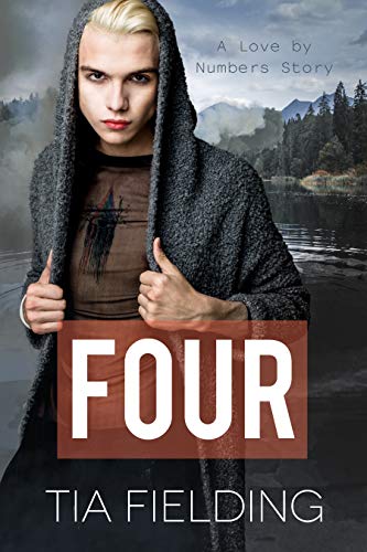 Love by Numbers book cover 2