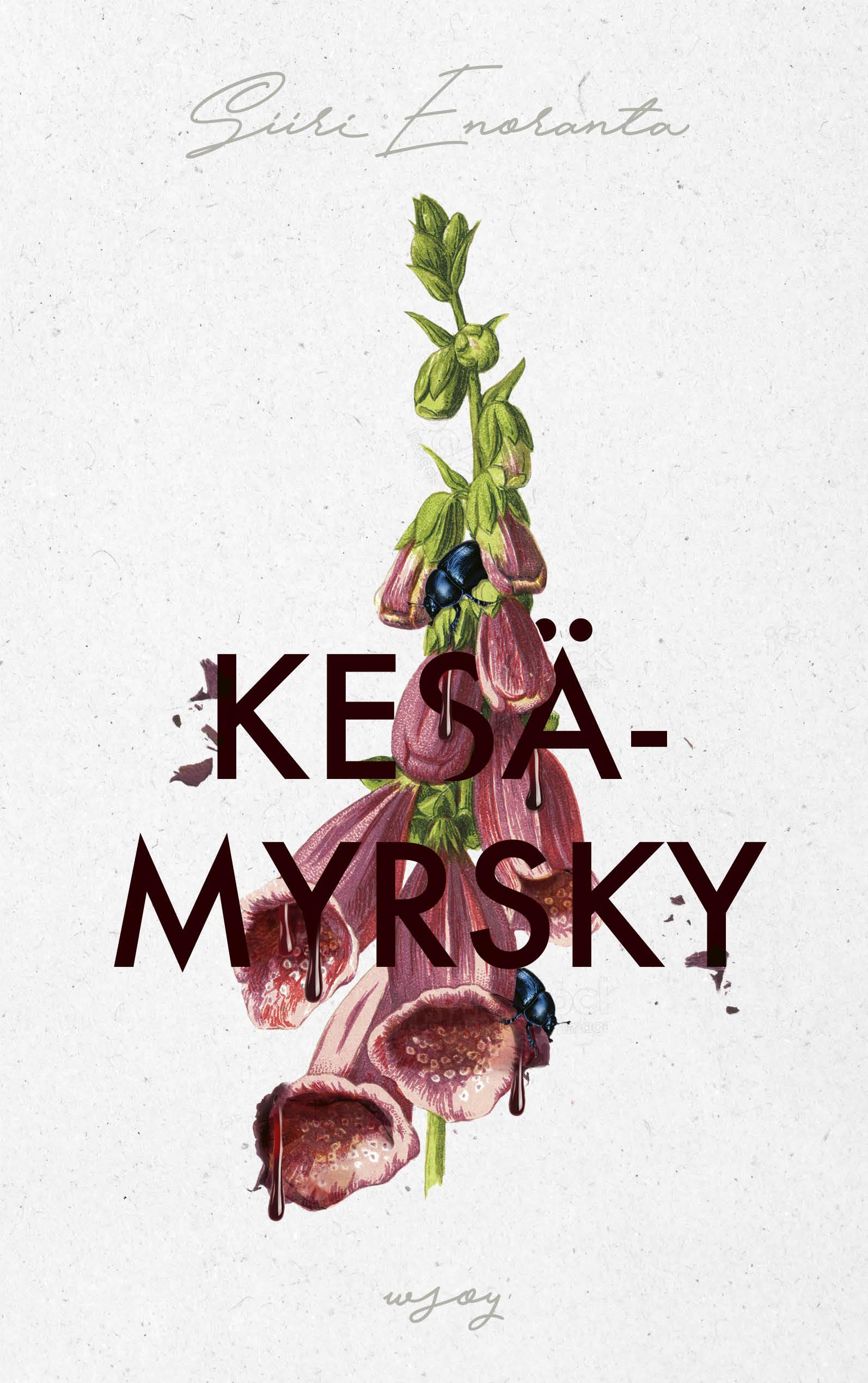 Kesämyrsky book cover