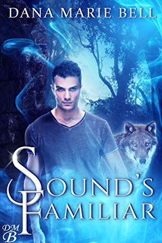Terra Noctem book cover 1