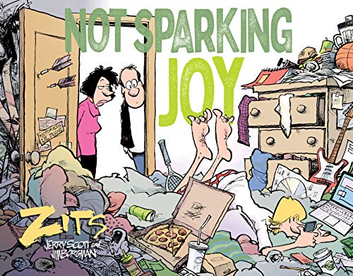 Not Sparking Joy book cover