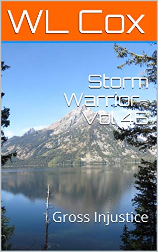 Storm Warrior-Vol 46 book cover