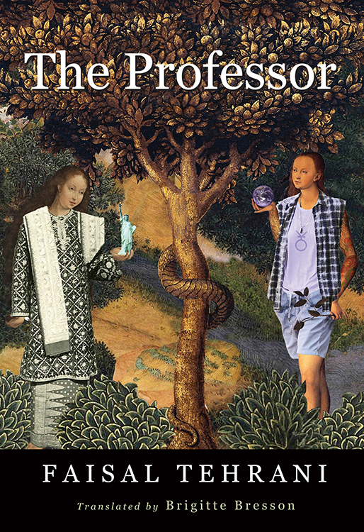 The Professor book cover