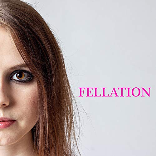 COMMENT FAIRE UNE BONNE FELLATION MAITRISE DE LA FELLATION EN 10 ÉTAPES GUIDE DE BASE by ETHAN