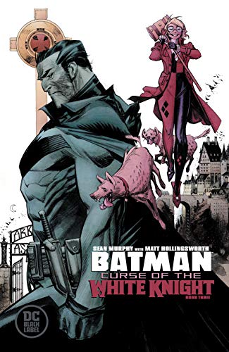 Batman book cover