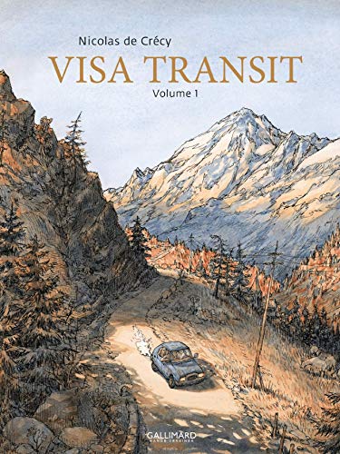 Visa Transit book cover 1