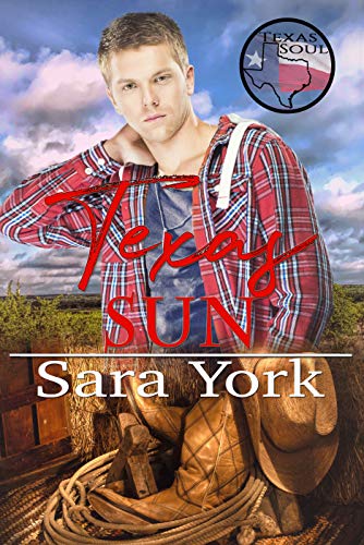 Texas Sun book cover