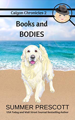 Calgon Chronicles book cover 2