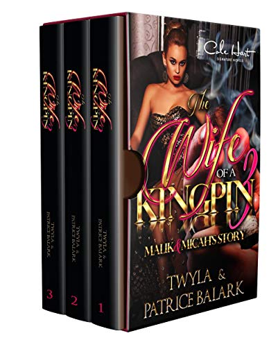 The Wife of a Kingpin book cover