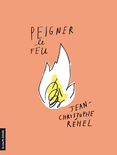 Peigner le feu book cover
