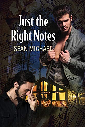 Just the Right Notes book cover