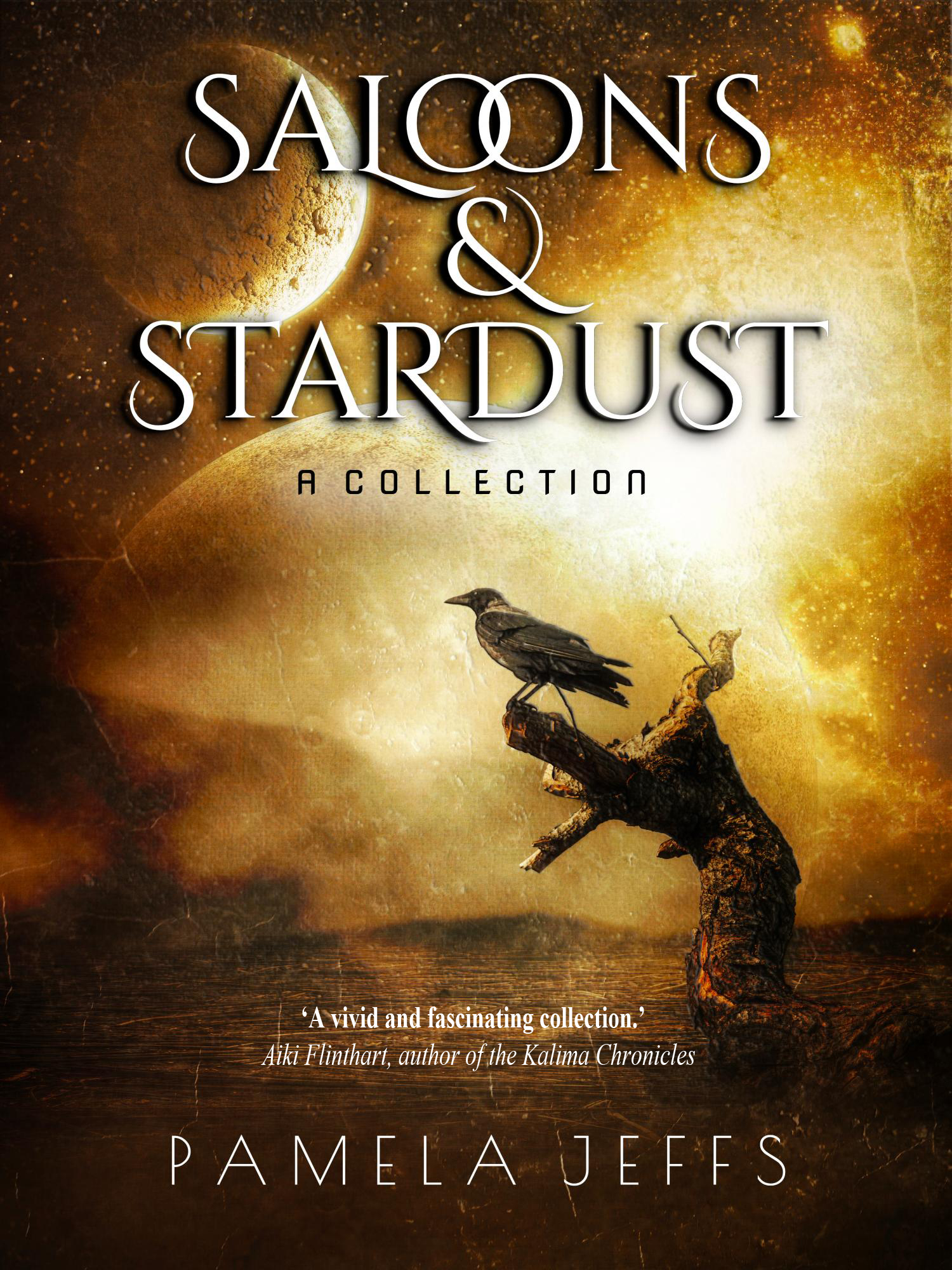 Saloons & Stardust book cover