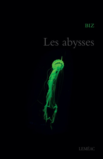Les abysses book cover