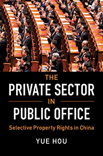 The Private Sector in Public Office book cover