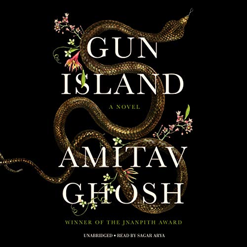 Gun Island