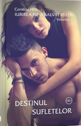Destinul Sufletelor book cover
