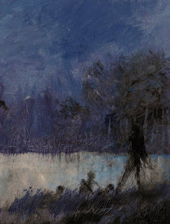 The Pale Illuminations book cover