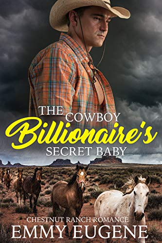 A Cowboy and His Daughter book cover