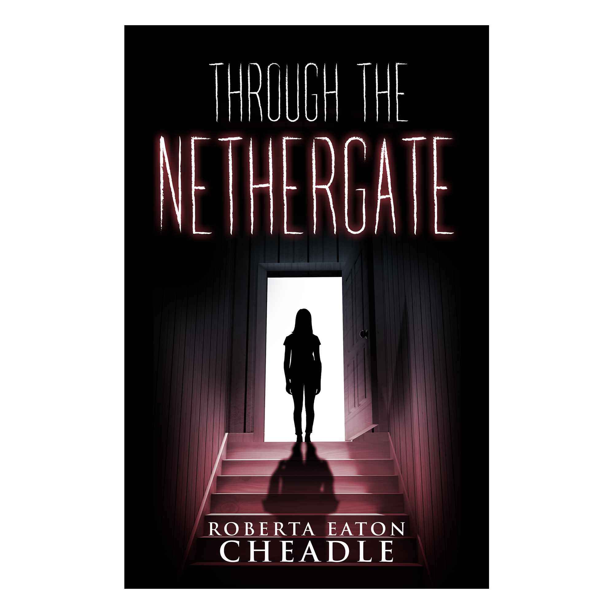Through the Nethergate book cover