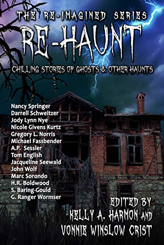 The Re-Imagined book cover 1