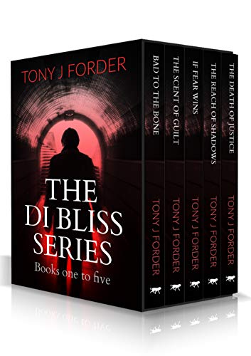 The DI Bliss Series book cover