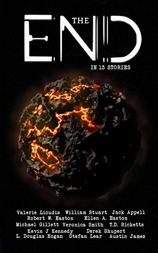 The End in 13 Stories book cover